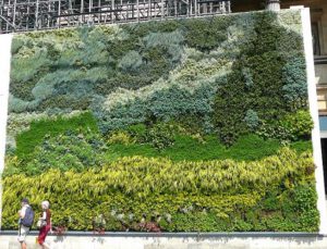 Vertical Garden Art